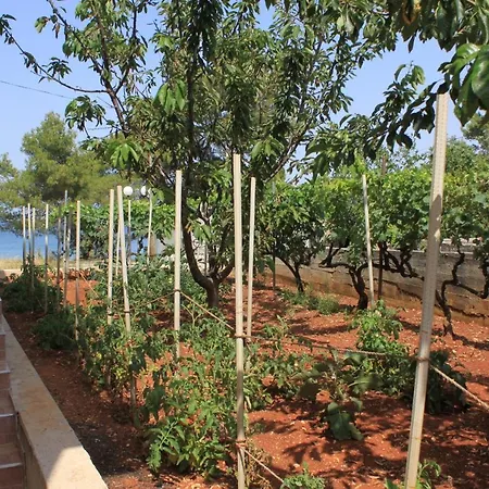 アパート By The Sea - 8257 ウグリャン