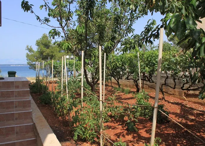 Apartman By The Sea - 8257 Ugljan